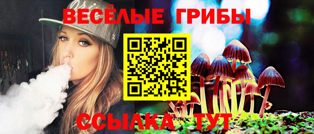 Большой Камень  Псилоцибиновые грибы ЛСД  Вход с VPN 